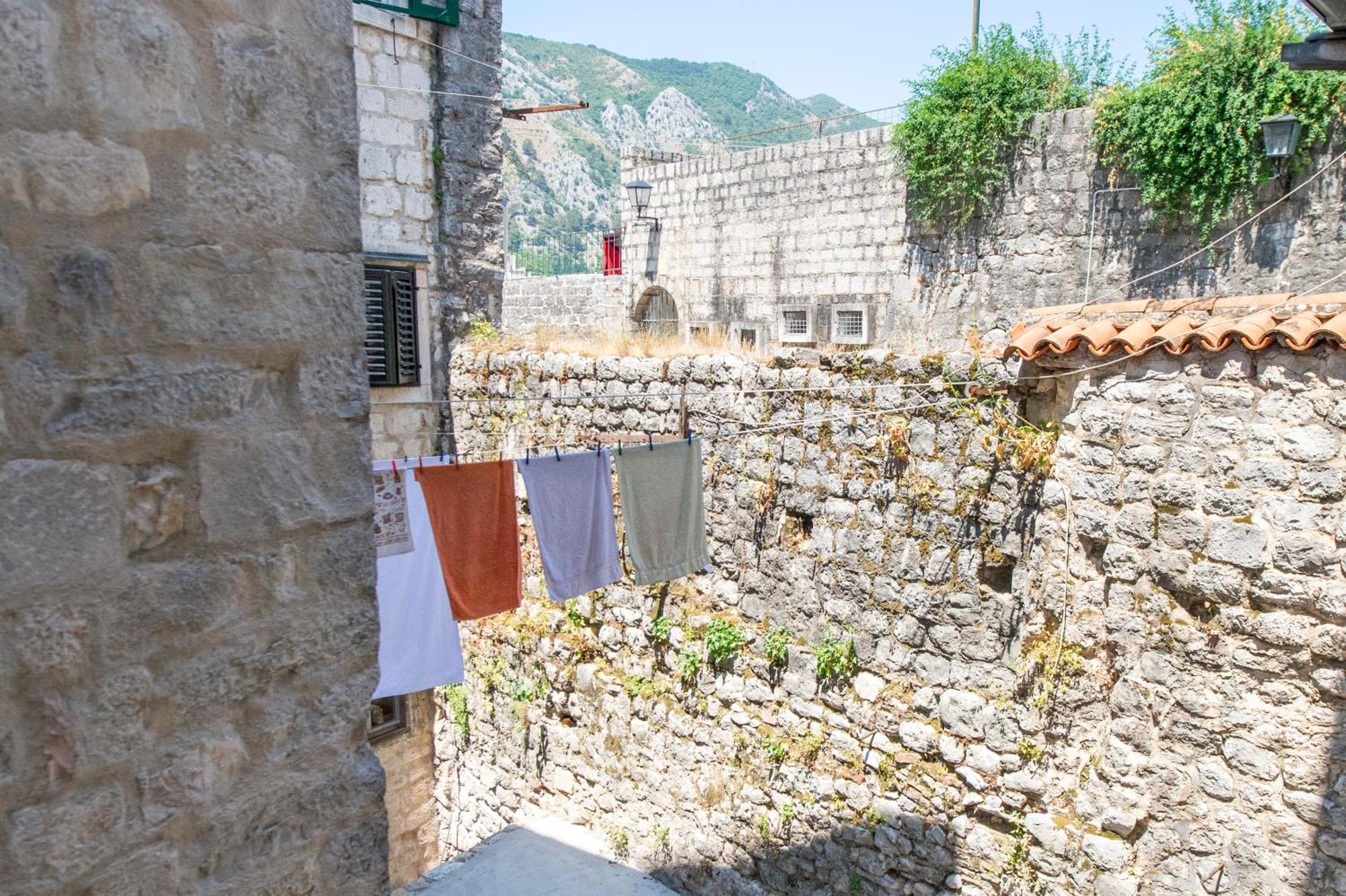 Nest Ozana